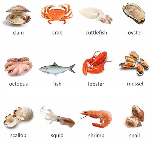 New students, new challenges, new opportunities, feeling great🙂!
Today’s lesson was about seafood: