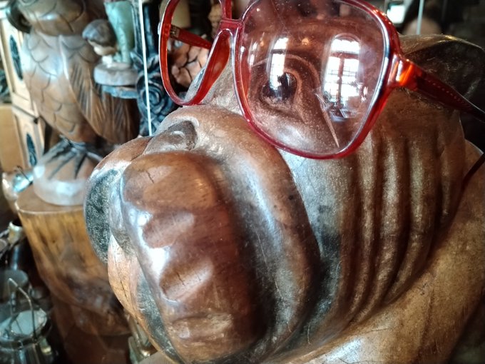 コイツの顔を見ながらコーヒー飲んでる。 