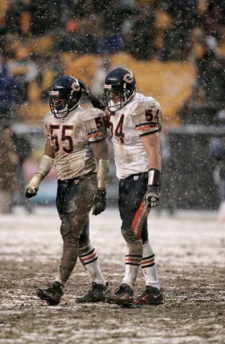 No Context Chicago Bears 🐻 tweet media