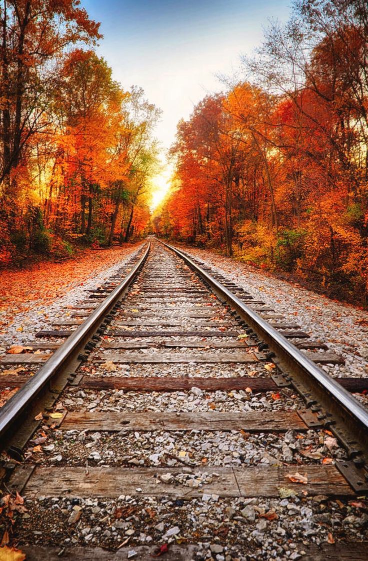 Сентябрь лес дорога. Осенний путь. Осенний пейзаж с железной дорогой. Осенний путь. Жд дорога.