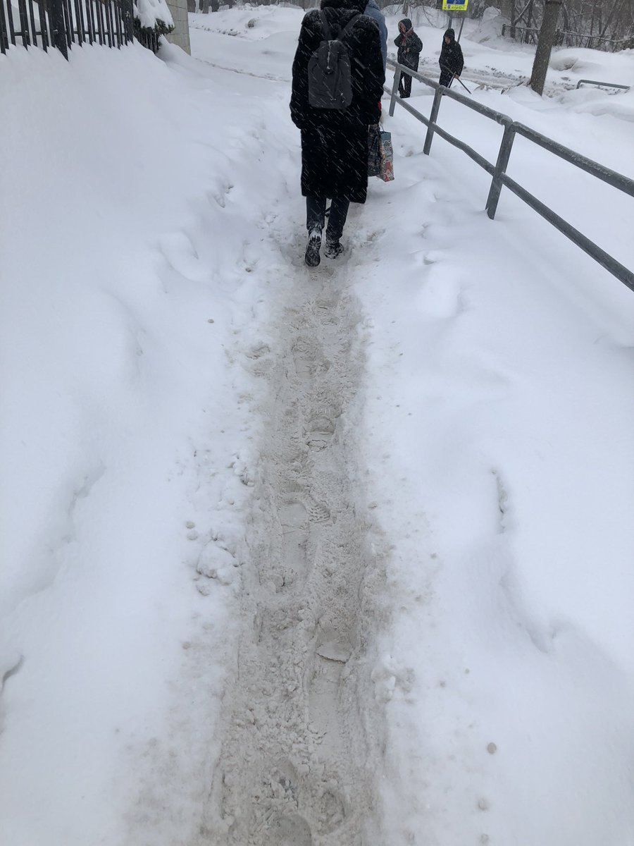 Евгения tweet media