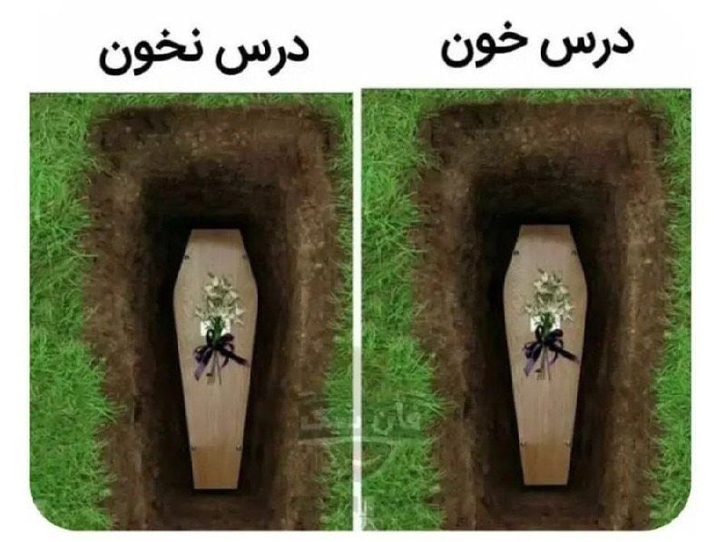 مستر پشمک tweet media