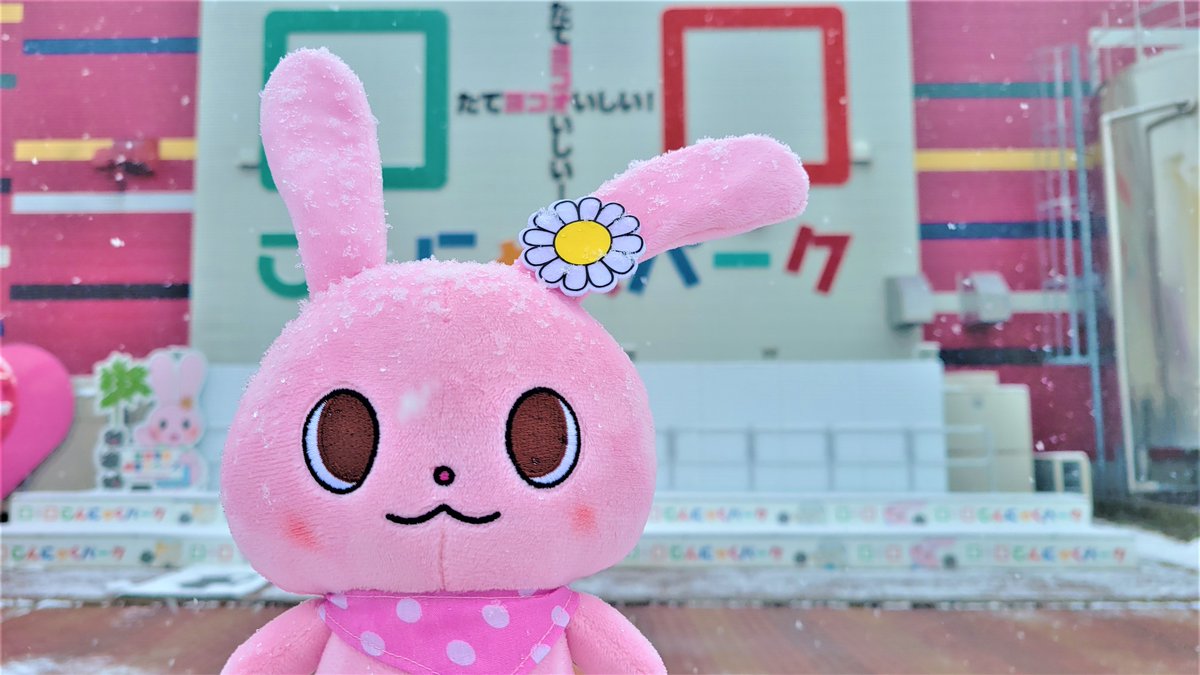 朝から雪にはしゃいだスタッフ数名☺️ 秀ちゃんも観覧車もマナン