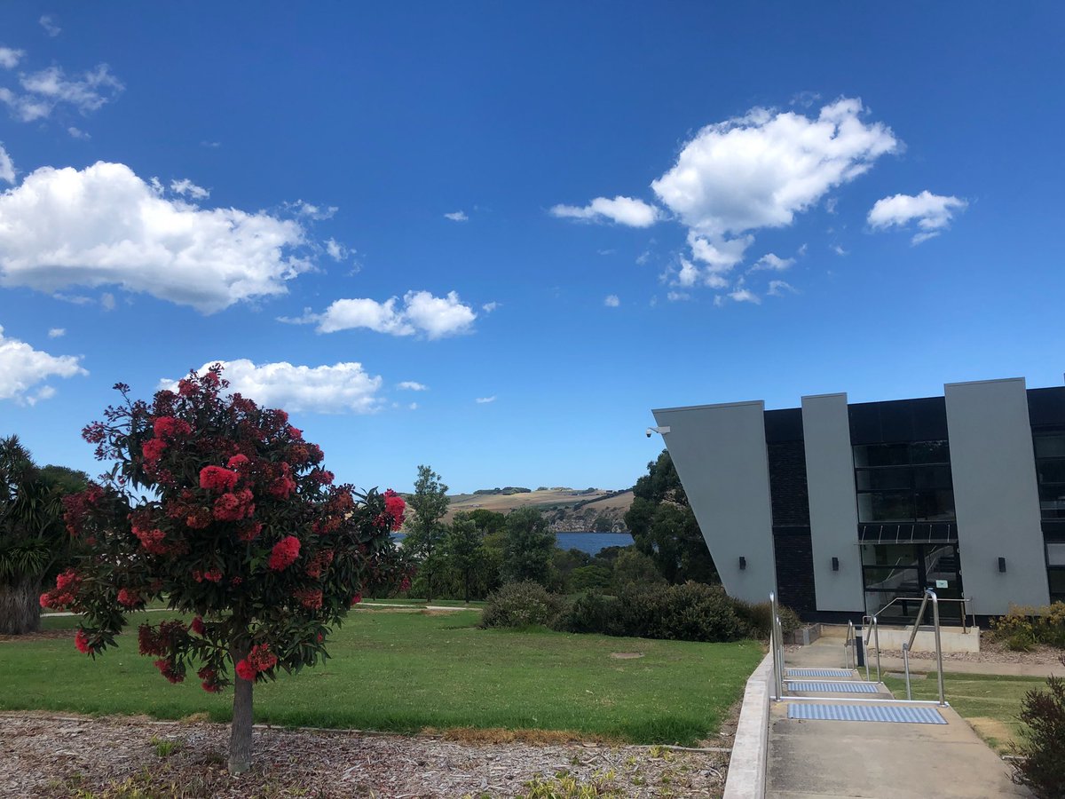 Deakin University (@deakin) on Twitter photo 📸 A perfect afternoon at the Warrnambool Campus 💛 📸 A perfect afternoon at the Warrnambool Campus 💛