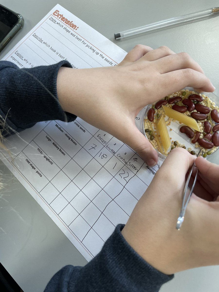 Year 9 were Darwin’s finches today.