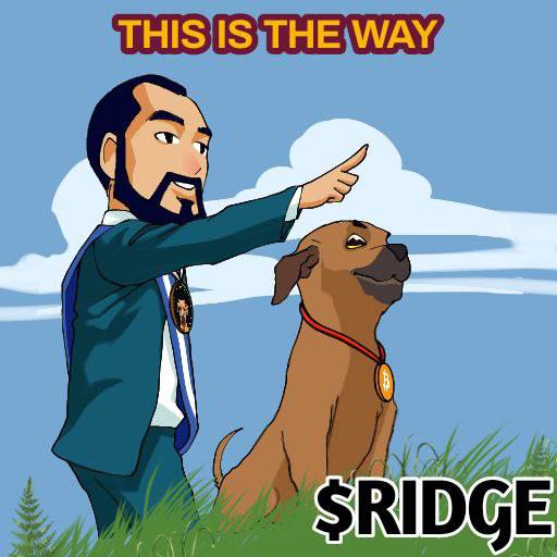 patch_0016's tweet image. The newly formed $ridge  #RIDGEBACKINU project has started to turn heads in both the Charity and Cryptocurrency space with their jaw dropping generosity.
All dogs are go to heaven 🚀🔥