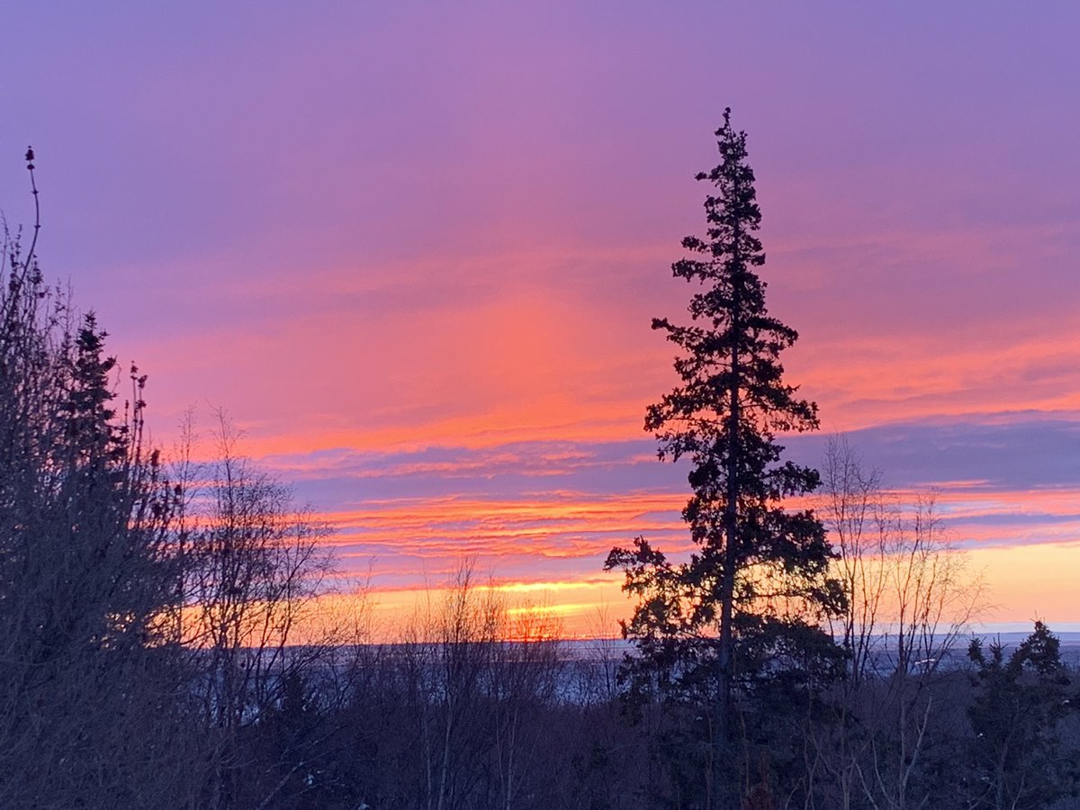 Firebrand101's tweet photo. Just realized this pic is a lot like #NathanChen’s outfit. Also, for the record, he did awesome
#sunset #alaskasunset #nathanchenolympics #figureskating #olympics #olympics2022 #sunsetphotography #winter #wintersunset https://t.co/ZsmzVIJXue