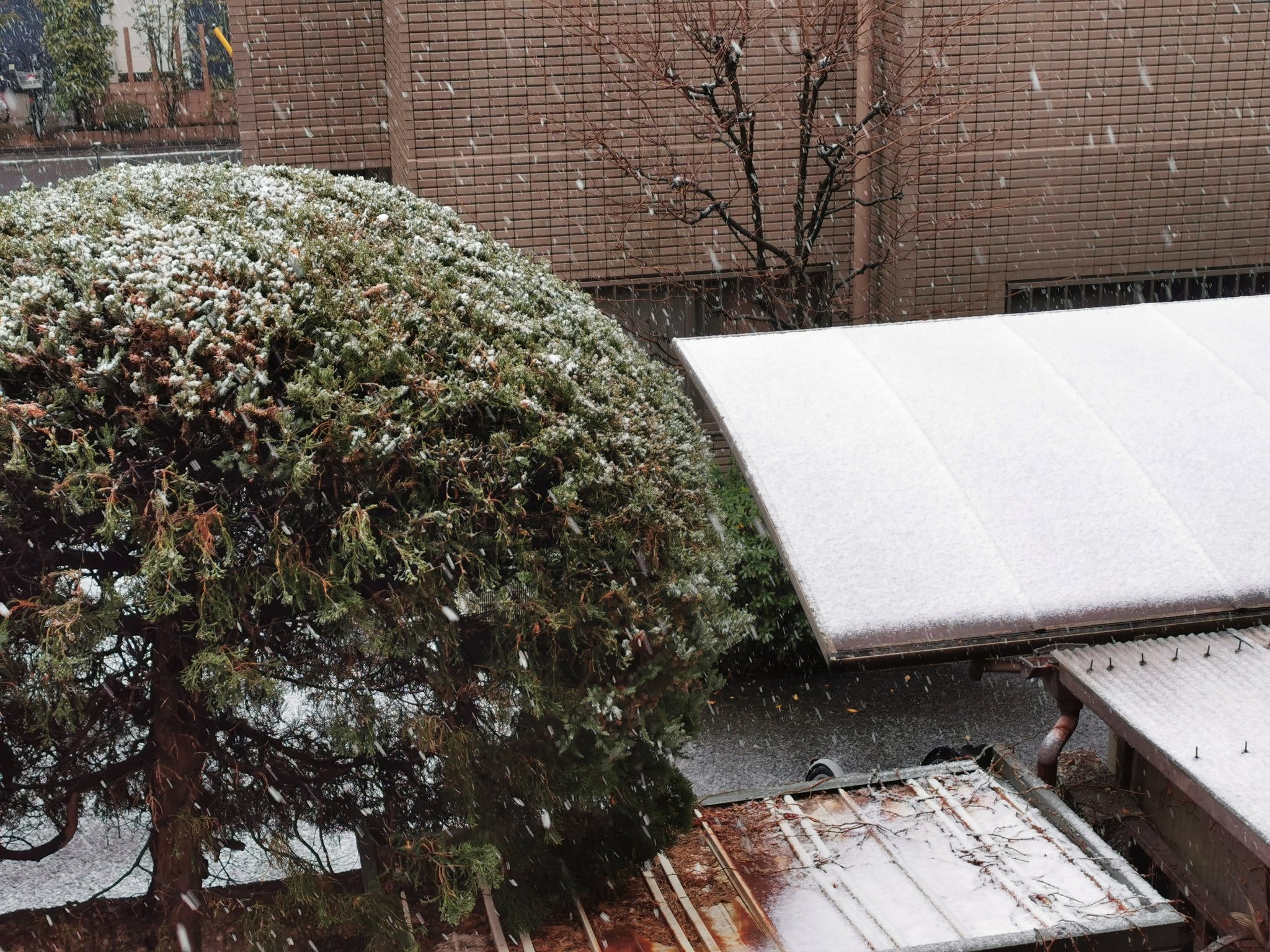関東の雪 Twitter Search Twitter