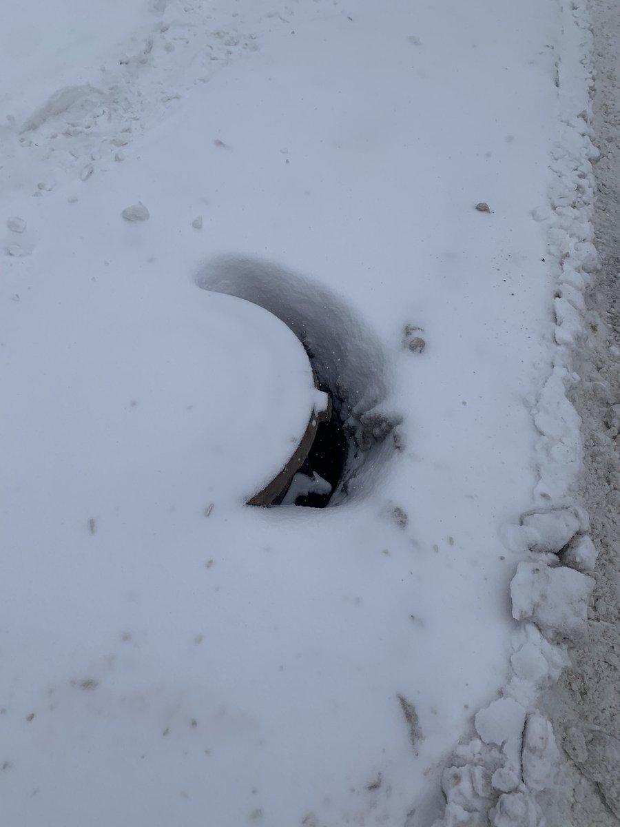 Дарья tweet media