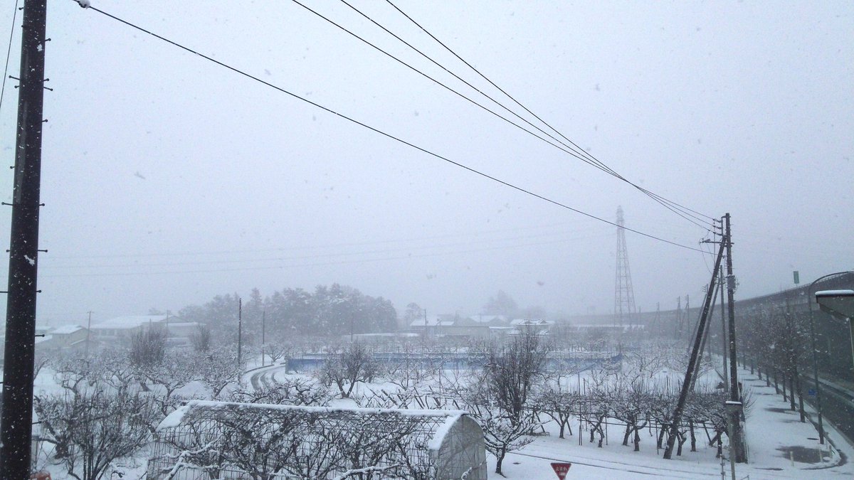 Mat2_vr5k3's tweet image. 雪降りすぎじゃね
