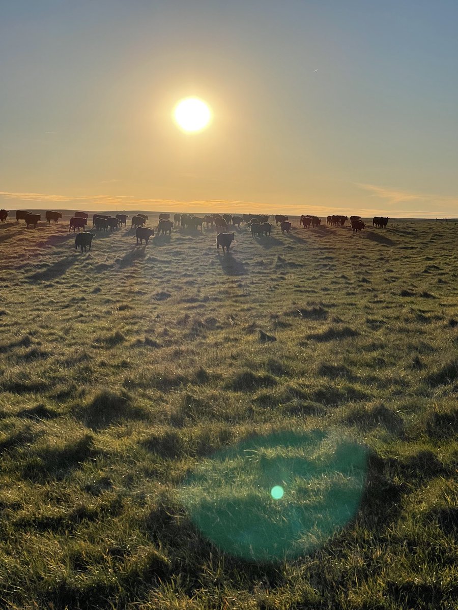 Colby Olson (@ordrover) on Twitter photo 