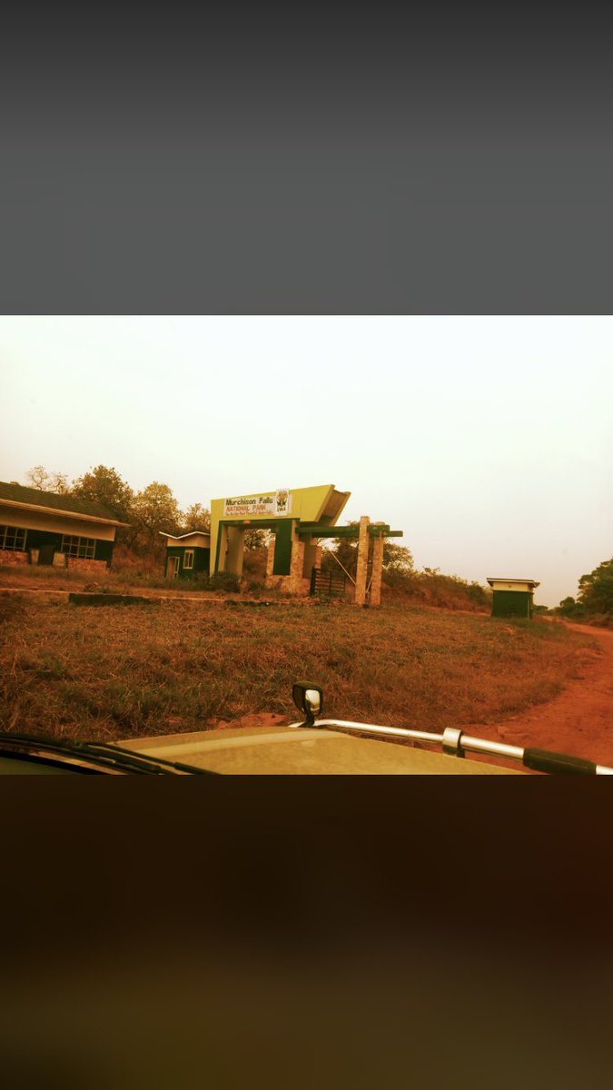 benventure95's tweet photo. Hello from Murchison falls… game drive. 

Call/WhatsApp +256781087669 for your next trip plan. https://t.co/pXPOp1WoSn