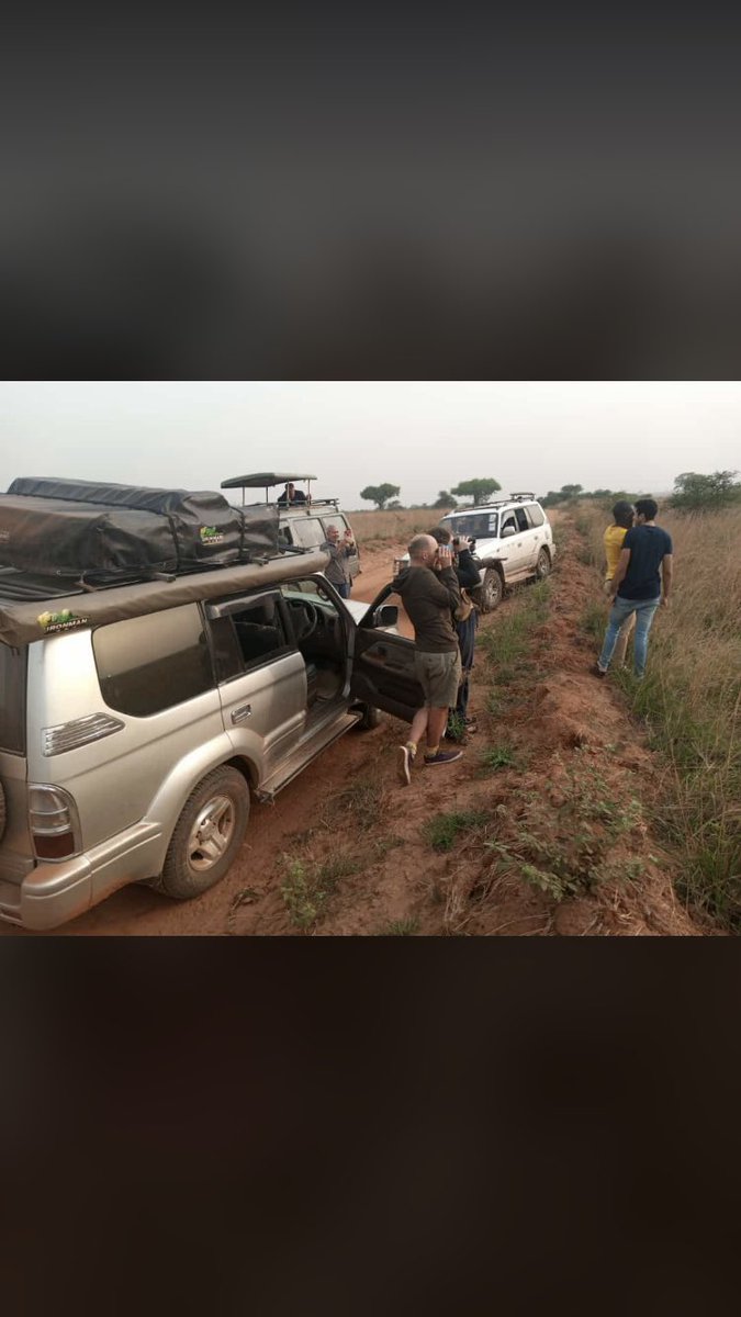 benventure95's tweet photo. Hello from Murchison falls… game drive. 

Call/WhatsApp +256781087669 for your next trip plan. https://t.co/pXPOp1WoSn