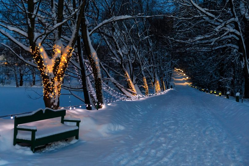 «После сильной зимней метели наступила ясная морозная ночь. Все крыши домов, все деревья, все поля были покрыты сугробами снега, все дороги были засыпаны и нигде не видно было ни человечьего, ни звериного следа. В голове оврага был высоко нанесенный снег. Кругом всё было тихо».
