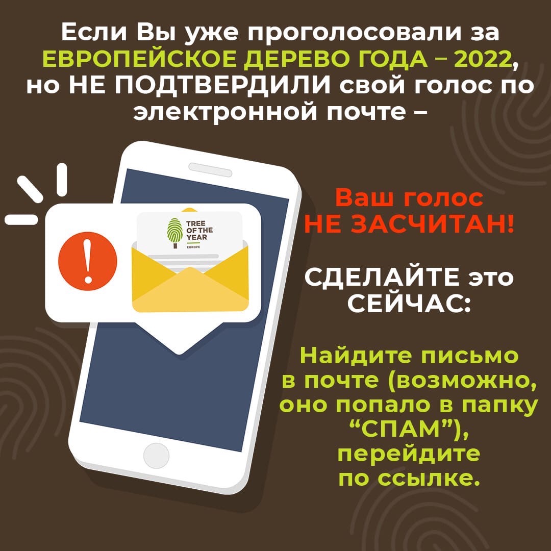 spasskoye's tweet photo. ВАЖНО!Друзья, выполнив все необходимые действия на сайте «Европейское дерево года» (https://t.co/5RU3XJJCSf), вам обязательно нужно дождаться на свой e-mail получения электронного письма от организаторов и перейти по указанной в нём ссылке.Только тогда ваш голос будет учтён! https://t.co/VjfpdgPYo5