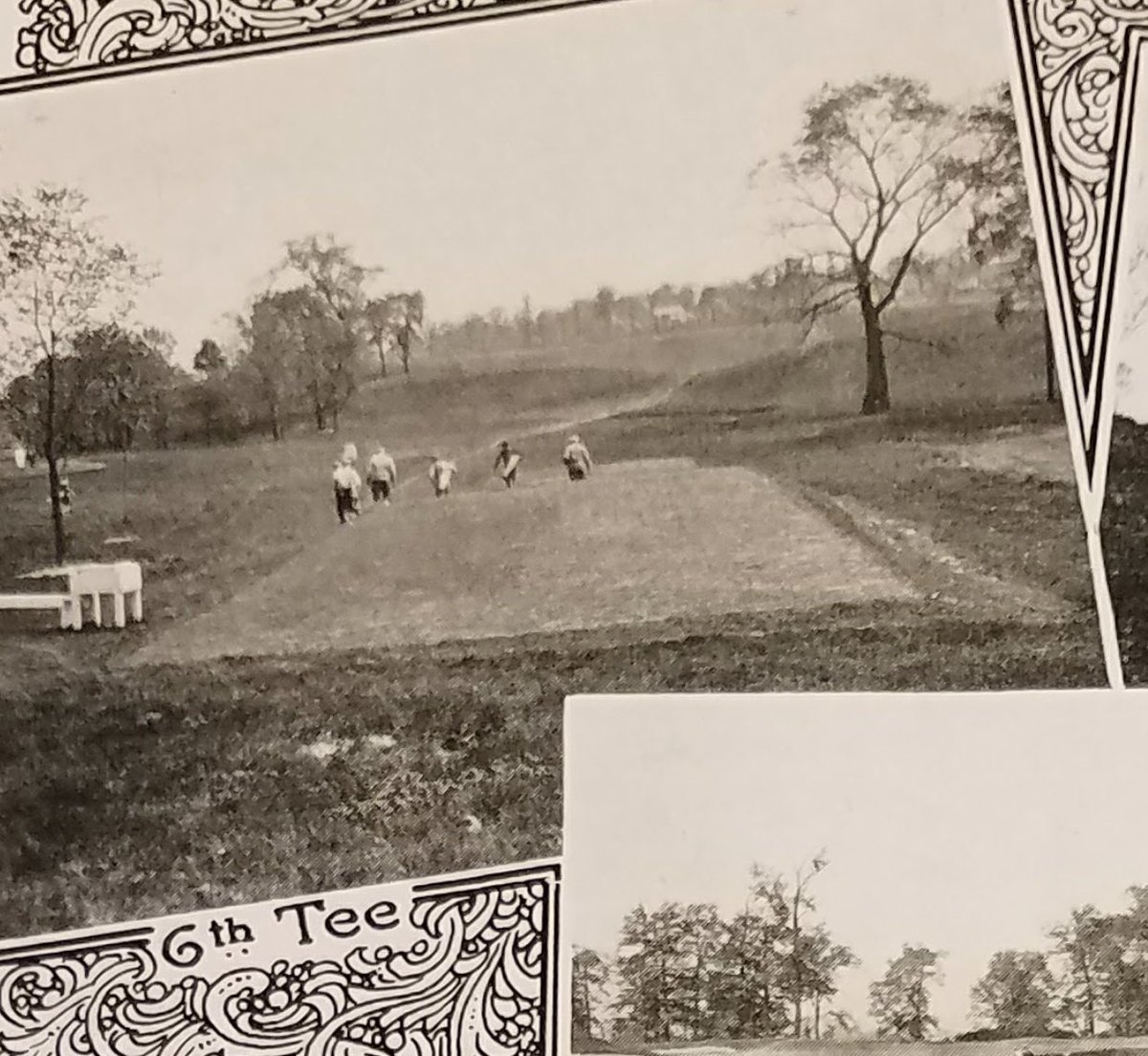 AH Green Design tweet media