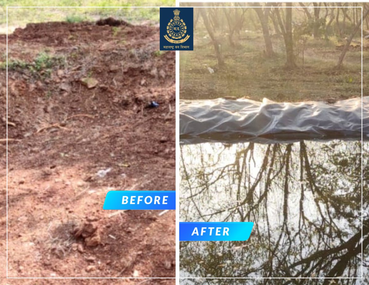 Pune Forest tweet media