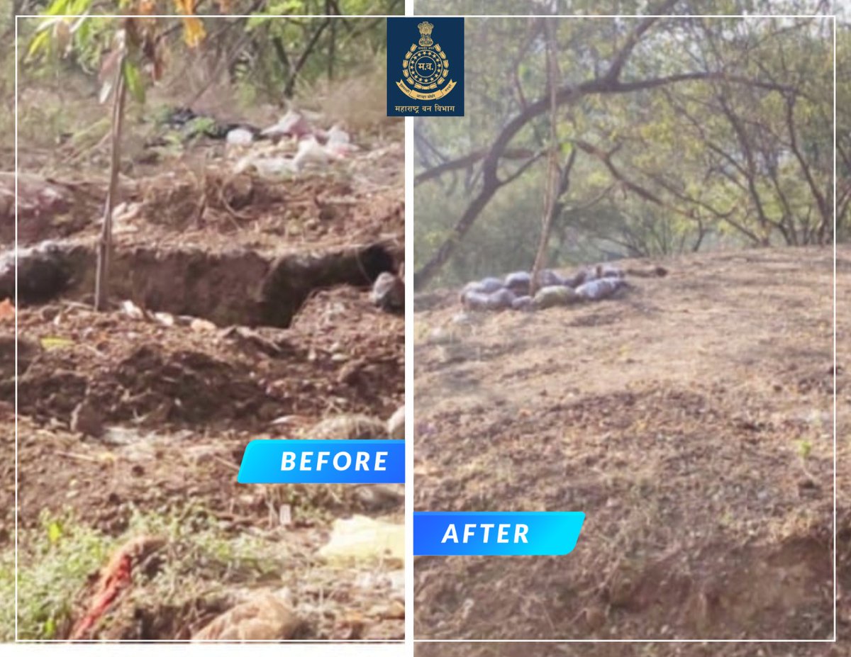 Pune Forest tweet media