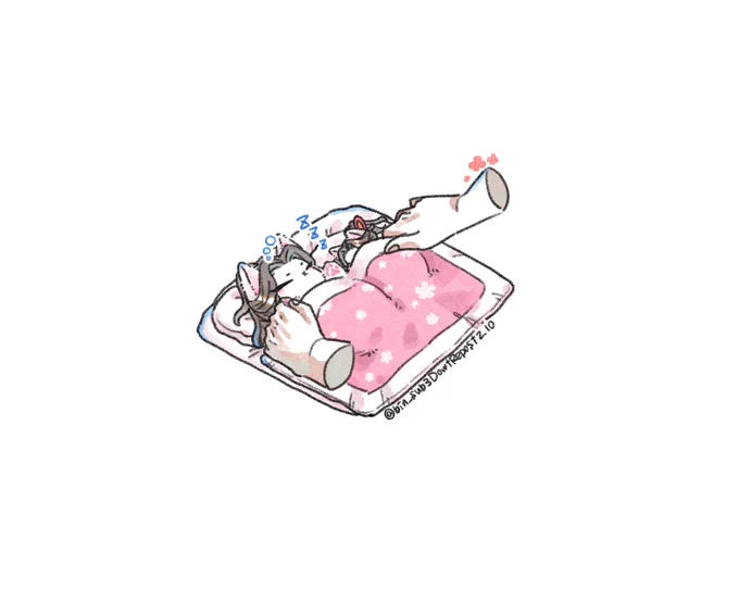🐈月間。今日は布団の日。🐈寧に布団を用意したら気に入ったみたい 