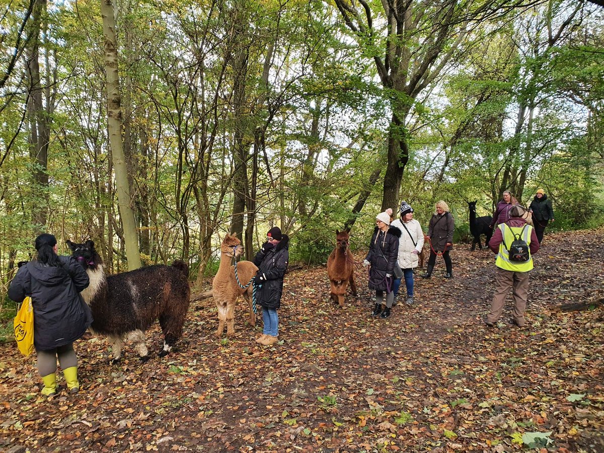 All of our volunteering opportunities this week are all rewarded by some awesome prizes! These credits can then be used against some brilliant opportunities! (A bit like you would in the amusements!)

DM for info! <a href="/vasnews/">Voluntary Action Sheffield</a> <a href="/ArbourthorneCPS/">Arbourthorne Primary/ An Even Better Arbourthorne</a> <a href="/MCDTSheffield/">MCDT</a>