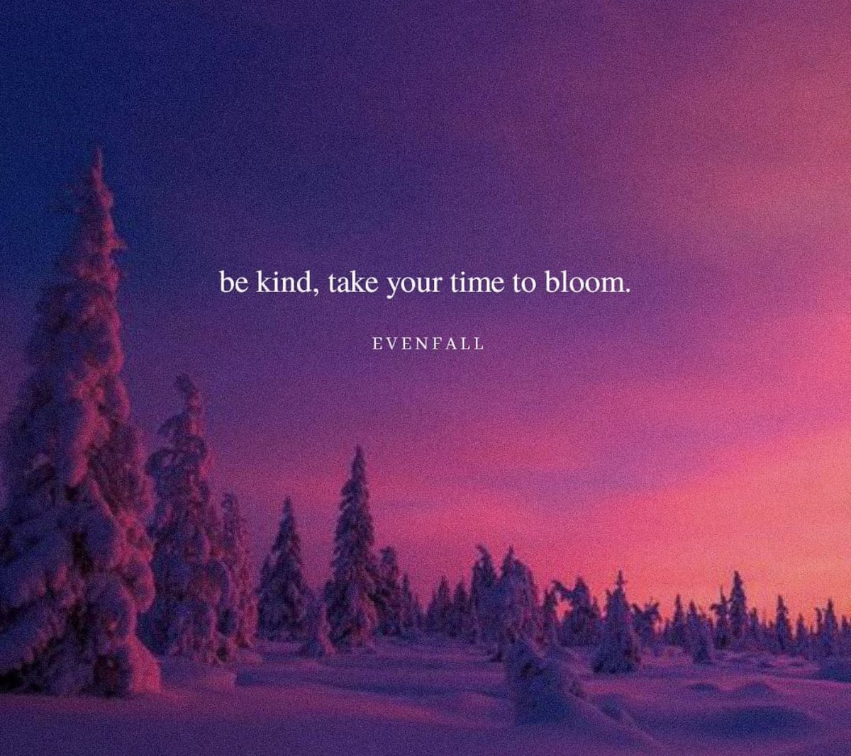 Poem Heaven (@poemheaven) on Twitter photo 