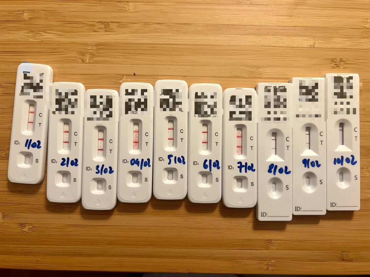 Francesco Rampazzo tweet media