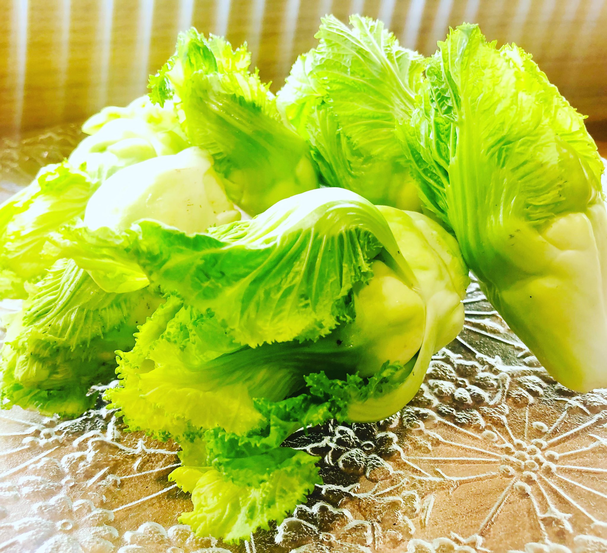 floraシェフ 春の訪れを告げる野菜と言われている畑楽 山元町の野菜農園サンのつぼみ菜 山口県下関市 が入荷致しました バレンタインディナー フローラ 府中 つぼみ菜 イタリア料理店 中河原 ふちゅチケ ワイン T Co floraシェフ 春の訪れを告げる野菜と言われている畑楽 山元町の野菜農園サンのつぼみ菜 山口県下関市 が入荷致しました バレンタインディナー フローラ 府中 つぼみ菜 イタリア料理店 中河原 ふちゅチケ ワイン T Co