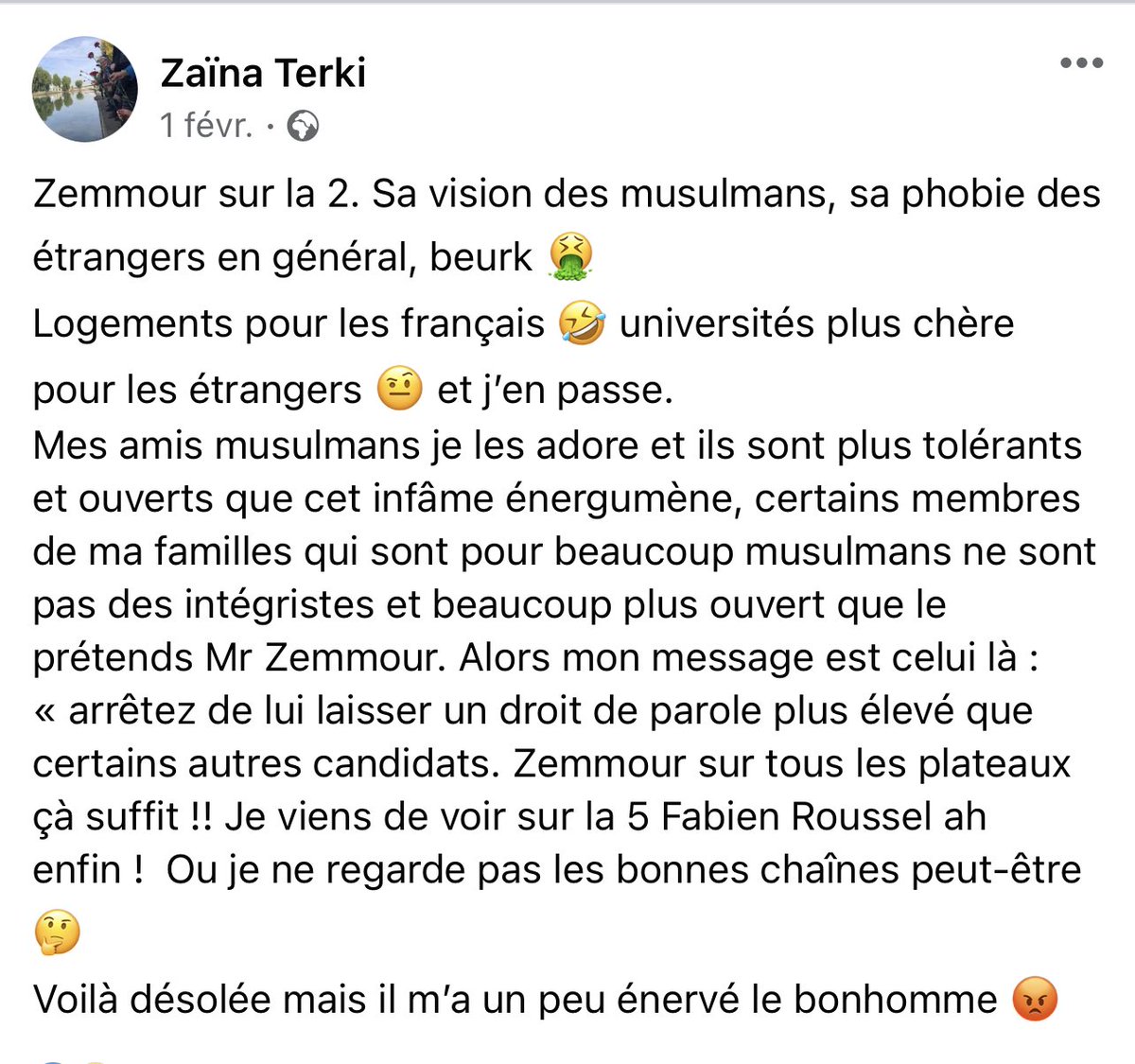GilbertCollard's tweet photo. Zina Terki aurait pu avoir au moins l’honnêteté de dire qui elle était : une militante anti-#Zemmour, pro-palestinienne, immigrationniste et communiste : mais où BFM va-t-il les chercher ? #LaFranceDansLesYeux https://t.co/3dai0CNynI