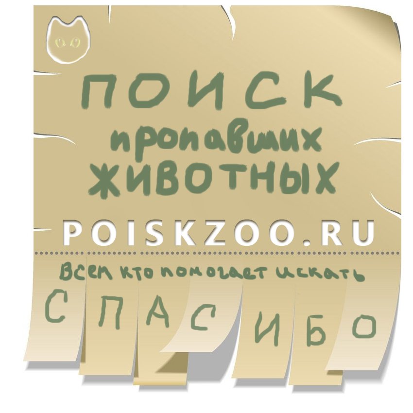 Найдена собака шарпей Братск Подробнее по ссылке: poiskzoo.ru/144213 найдена собака шарпей девочка. Нашли в районе ул. Курчатова. С ошейником, чистая, ухоженная. Скучает, ждет хозяина. Обращаться по тел:.. #Найдена_собака #НайденаСобака #НайденасобакаБратск #Шарпей #Найд