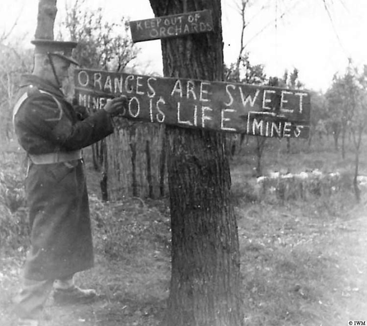 rgpoulussen's tweet photo. #OTD in 1944, Italy. #WW2 #HISTORY https://t.co/QzM75G7YLp
