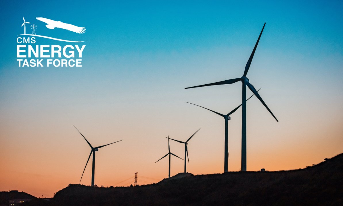 BonnConvention's tweet photo. At its 6th Meeting, the #EnergyTaskForce sets priorities and engages members and observers in implementing specific items of the Work Plan.
Find out more here:
➡️https://t.co/Ih2xRV8qSW https://t.co/nAztTcDlTC