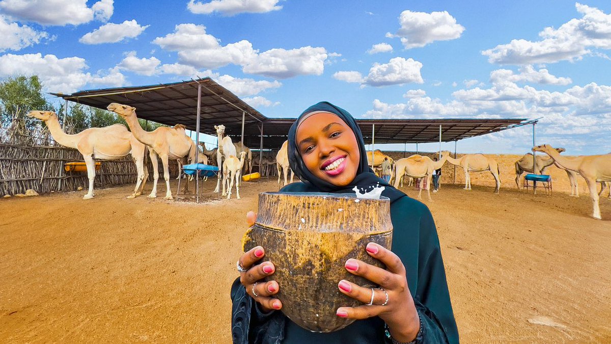 TourInSomalia's tweet photo. Milking a camel and trying the milk for the first time in #somalia is by far the proudest moment of my year. Watch the full vlog here : https://t.co/QybjLBEoRr #iladalxiis https://t.co/D94E5Hmpdi