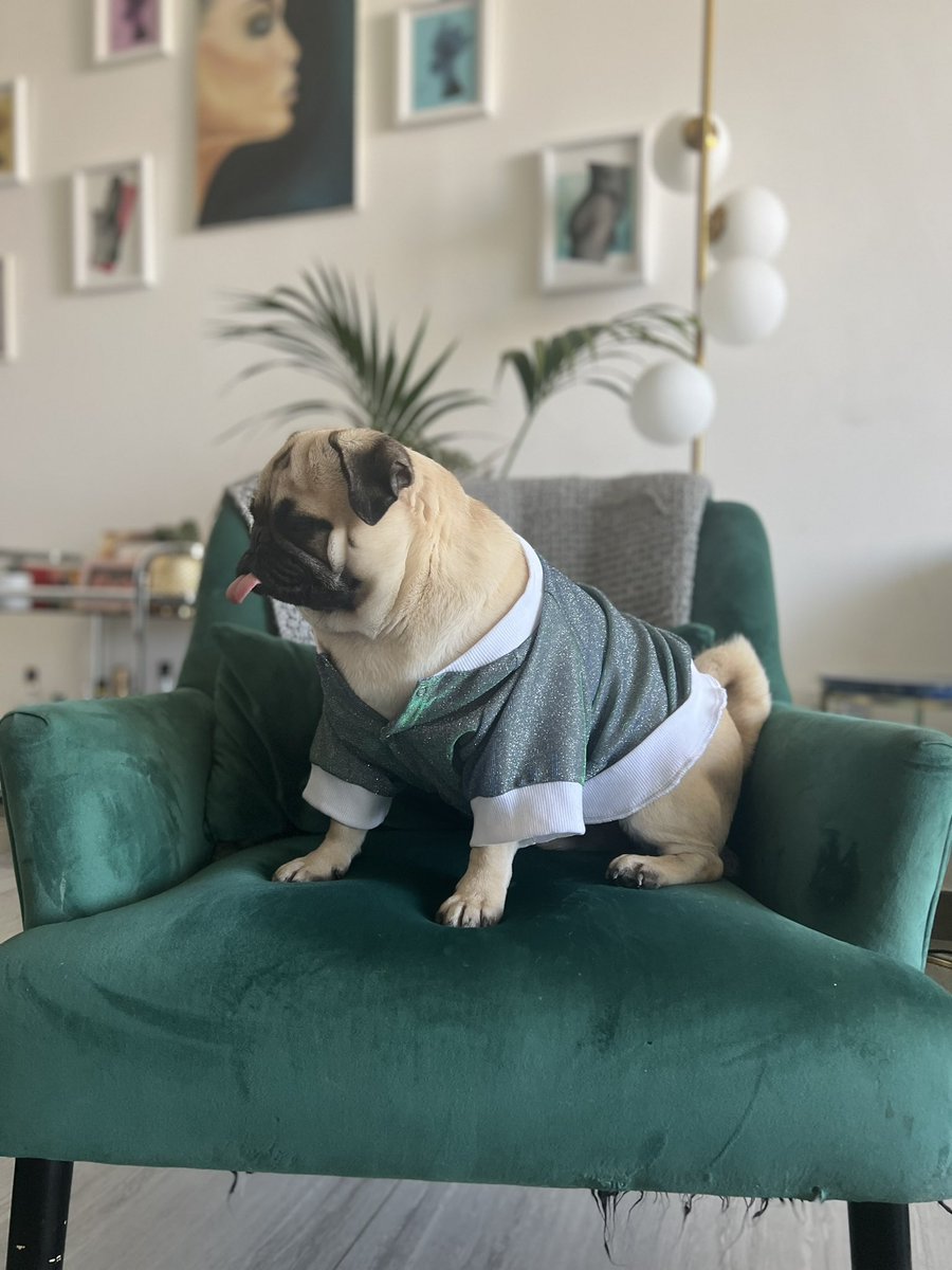 Fadzeanforward's tweet photo. When you get a new top and decide to do a little photoshoot
#model #pug #coy #pose #Hercules #ishouldbeworking https://t.co/fGhyYqJjZD