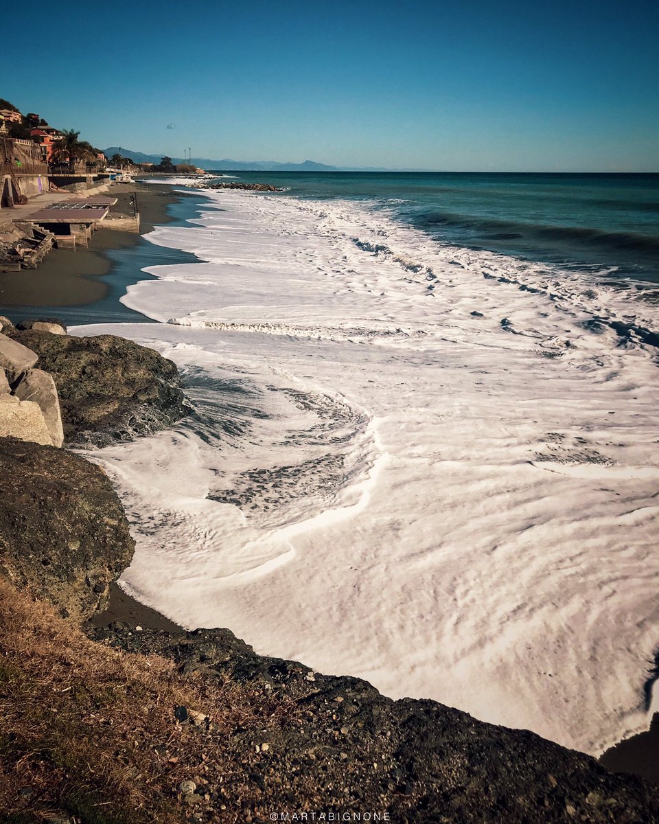 Marta Bignone tweet media