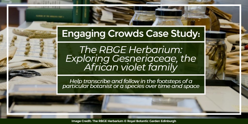 Volunteer for our new #EngagingCrowds #citizenresearch project with <a href="/RBGE_Herbarium/">RBGE_Herbarium</a> Help transcribe collection label information from herbarium specimens #Gesneriaceae or #AfricanViolet. 

Just register on #Zooniverse to help

➡️ow.ly/zRzm50Htv9v
📄 stories.rbge.org.uk/archives/36055