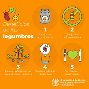 GO_INPULSE (@goinpulse) on Twitter photo Hoy es el #DíaMundialdelasLegumbres
En el <a href="/GoInpulse/">GO_INPULSE</a> trabajamos para promocionar estos cultivos y su uso en alimentación animal y lograr así sistemas alimentarios más sostenibles
#WorldPulsesDay #AmaLasLegumbres Hoy es el #DíaMundialdelasLegumbres
En el <a href="/GoInpulse/">GO_INPULSE</a> trabajamos para promocionar estos cultivos y su uso en alimentación animal y lograr así sistemas alimentarios más sostenibles
#WorldPulsesDay #AmaLasLegumbres