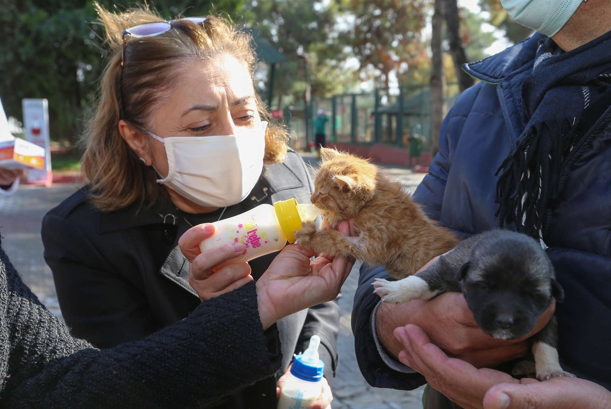 Türkiye'nin en kapsamlı barınak ve rehabilitasyon merkezinin ardından, şehir içinde uyum sorunu yaşayan ve risk oluşturan hayvanlar için de 50 bin m² ormanlık alana kuracağımız "Doğal Yaşam Parkı" hem tedavi merkezi hem de yeni bir yuva olacak.
gaziantep.bel.tr/tr/haberler/bu…