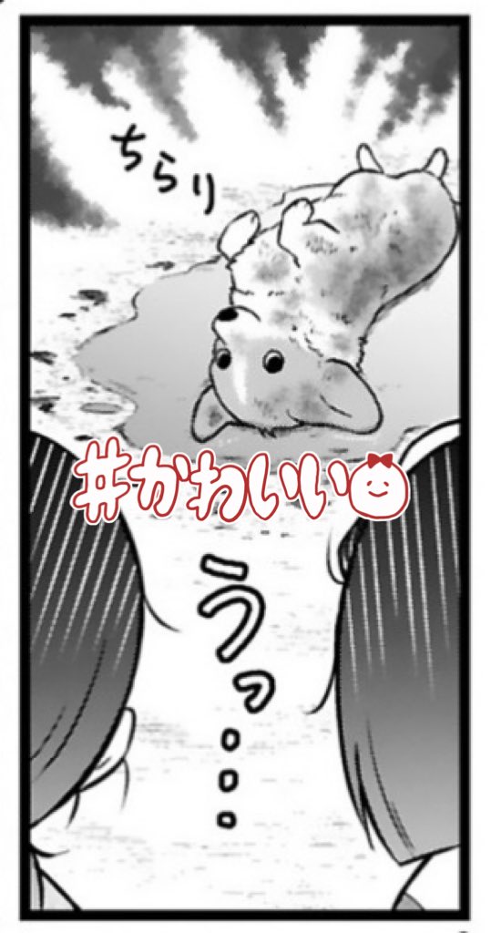 上目遣いの ちらりの破壊力よ💓 #殿と犬 #8話のココ好き comic-polaris.jp/tonotoinu/