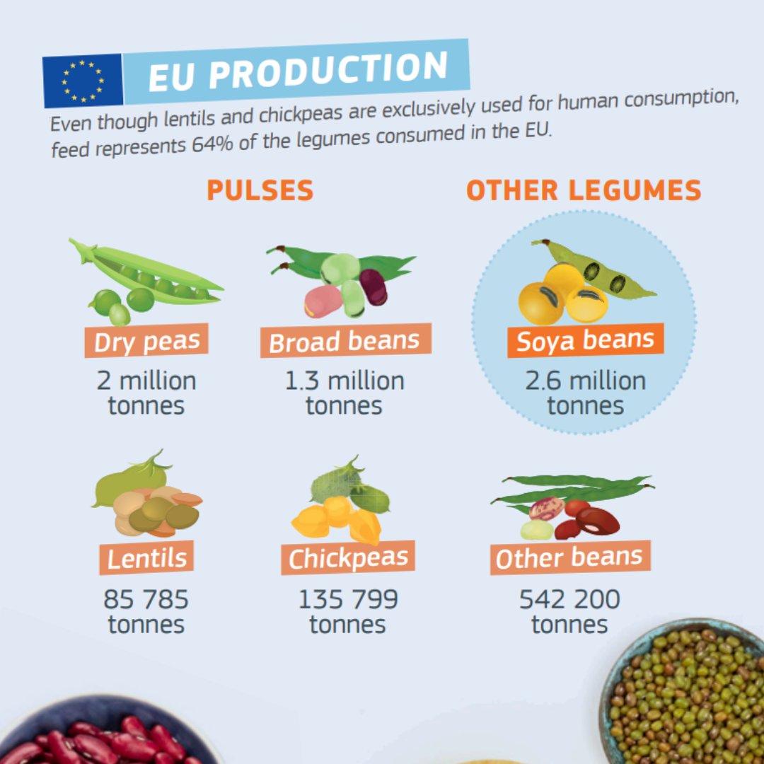 Happy #WorldPulsesDay!
 
Pulses are good for biodiversity, for soil health and for our diets 🌱

That's why the EU supports the development of the #EUPlantProteins sector: europa.eu/!hG48dc