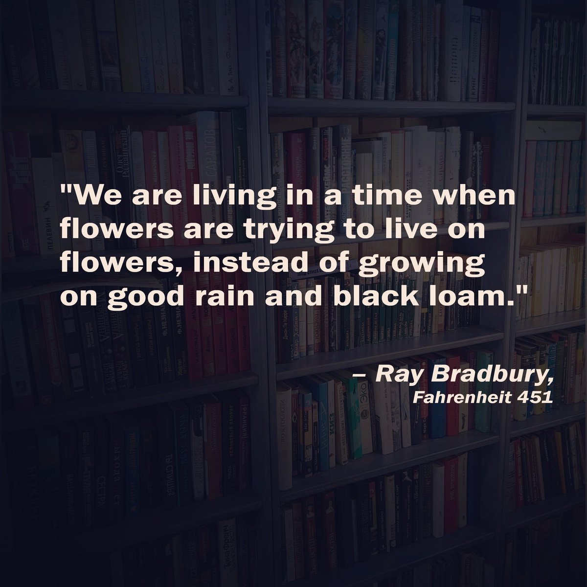 silent_polyglot's tweet photo. One of my favorite quotes from Fahrenheit 451 by Ray Bradbury! ❤️👍

#raybradbury #raybradburyquotes    #fahrenheit451 #silentpolyglot https://t.co/COTWzz6IKJ