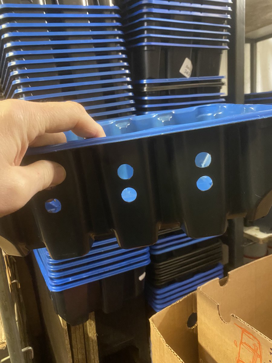 Condrensfruit's tweet photo. Plastic mushroom trays looking for a good home (or a bad one) https://t.co/m5MR5XRZqq