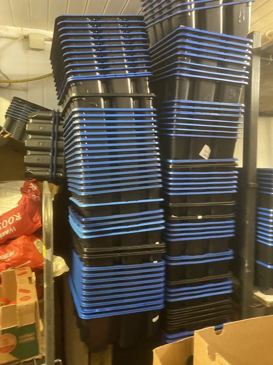 Condrensfruit's tweet photo. Plastic mushroom trays looking for a good home (or a bad one) https://t.co/m5MR5XRZqq