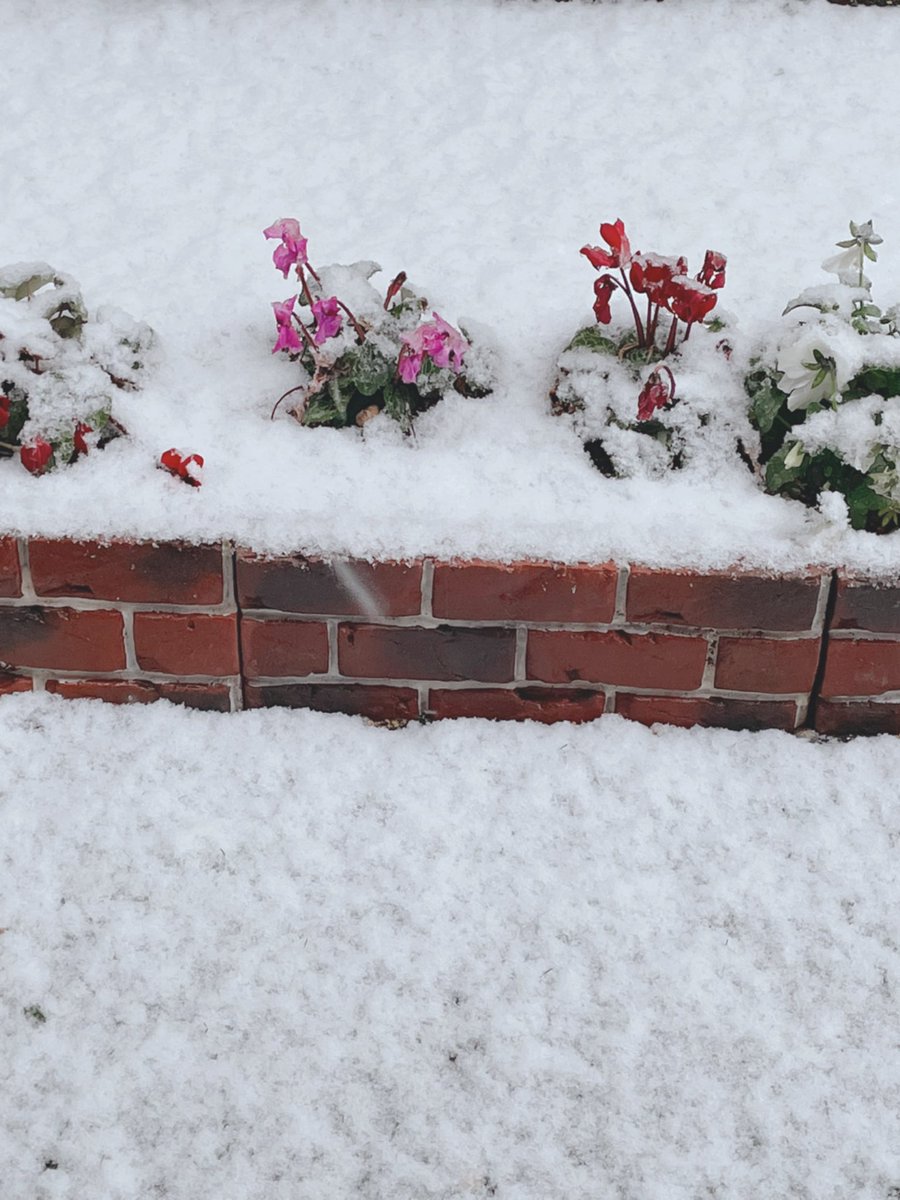 こちらTokyoは雪☃️
仕事から帰る頃にはめっちゃ雪降ってきた💦
まだ、そこまで積もってなかったから普通に帰れた😌
よかったー😂

これから朝まで降るのかな雪❄️
関東の皆様気をつけてね😭

雪はジミンみたいに笑顔にはなれない😂笑