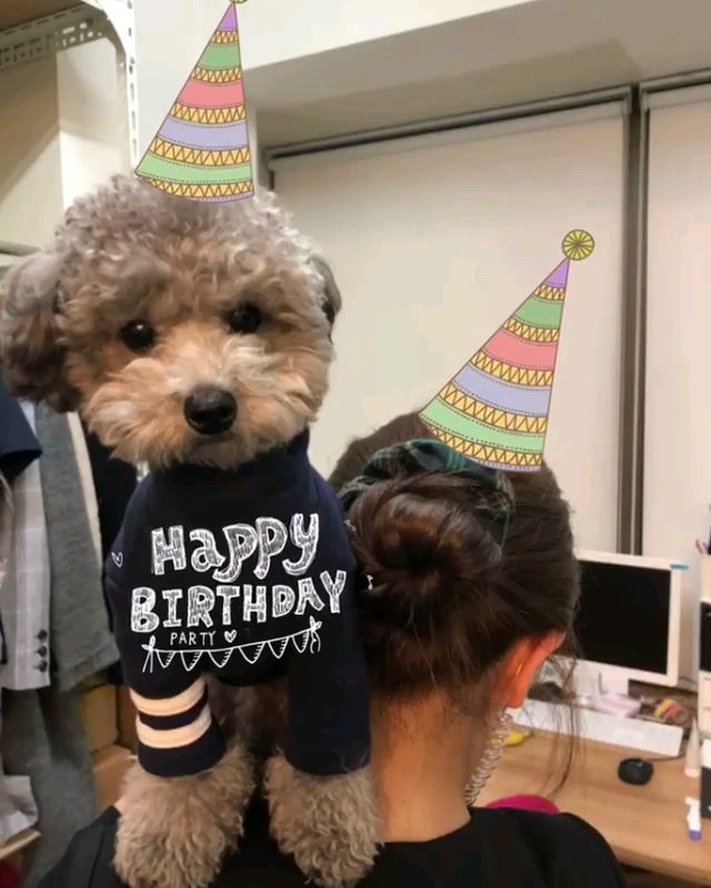 Hail_TY309's tweet photo. Happy Birthday ครับโยมพี่จิณณทัต ขออำนาจคุณพระศรีรัตนตรัยจงบันดาลให้โยมพี่เจริญด้วยอายุ วรรณะ สุขะ พละ สมบูรณ์พูนสุขยิ่งๆขึ้นไปเทอญ #HappyGingerDay https://t.co/QOcNY389HU