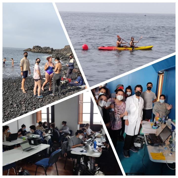 QUIMA (@quima_ulpgc) on Twitter photo Continúan las actividades en el faro de #Fuencaliente: clases teóricas, presentaciones, puesta de sensores y análisis de muestras en el laboratorio <a href="/fccmar_ulpgc/">Facultad de Ciencias del Mar ULPGC</a> <a href="/ULPGC/">ULPGC</a> Continúan las actividades en el faro de #Fuencaliente: clases teóricas, presentaciones, puesta de sensores y análisis de muestras en el laboratorio <a href="/fccmar_ulpgc/">Facultad de Ciencias del Mar ULPGC</a> <a href="/ULPGC/">ULPGC</a>