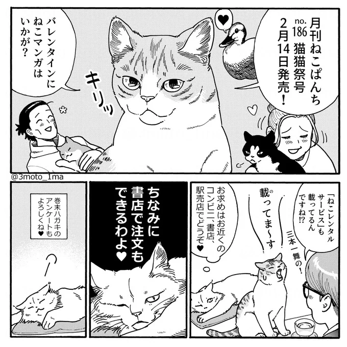 『ねこぱんち』2月14日(月)発売!書店で注文できるわよ 