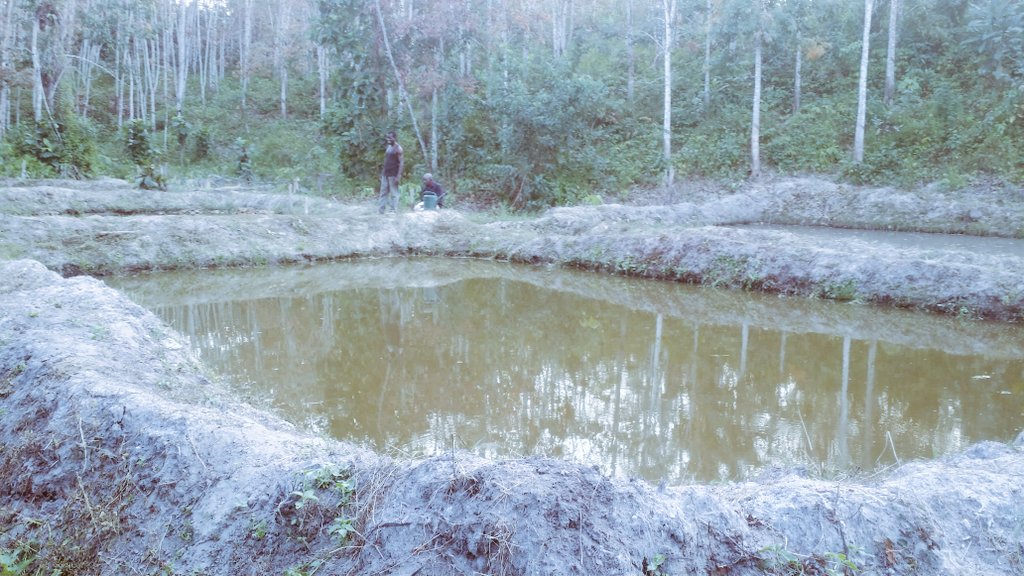 AgroLiberia's tweet photo. Photos of our new #ponds. We need #investors and or #partnership. We are desirous to take over the fish market in Liberia. The market is charged with #opportunities. https://t.co/RvqJymUxol
