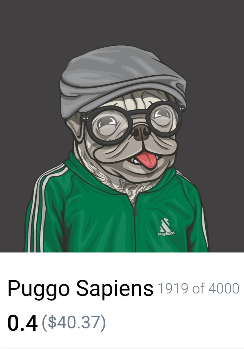 PuggoSapiens's tweet photo. #Puggos got style 😎 https://t.co/eZylfgD2t9