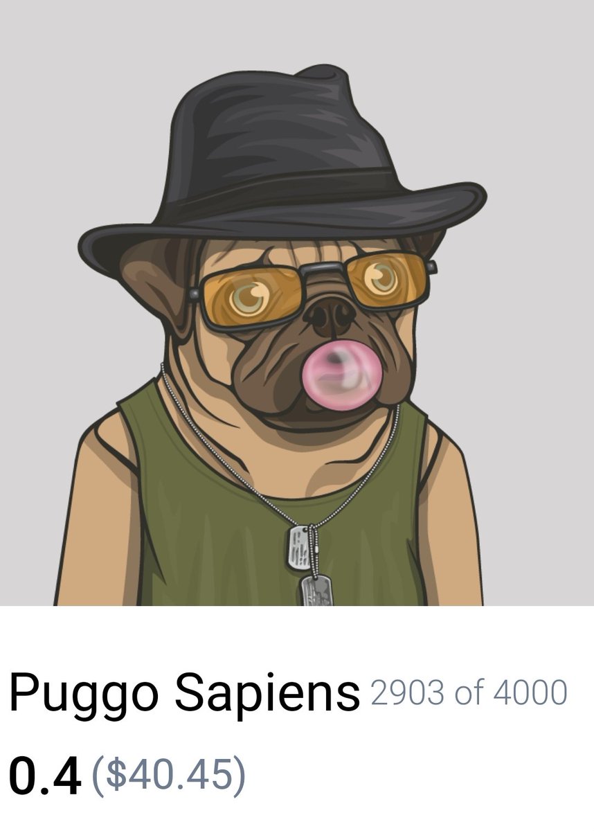 PuggoSapiens's tweet photo. #Puggos got style 😎 https://t.co/eZylfgD2t9