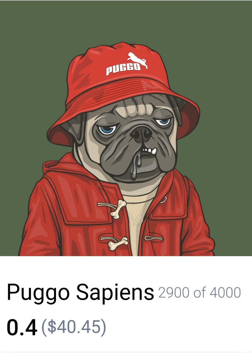 PuggoSapiens's tweet photo. #Puggos got style 😎 https://t.co/eZylfgD2t9